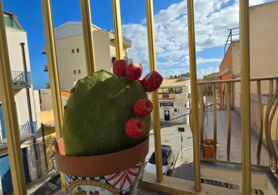 Casa Vacanze Regina Elena Apartment